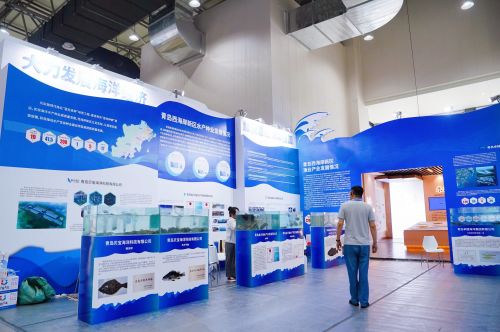做好 藍色種業 大文章 西海岸新區水產企業亮相2024青島種業博覽會