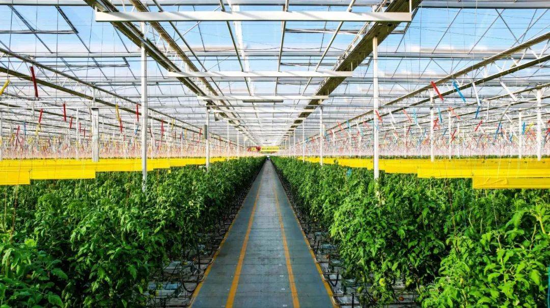 政策導(dǎo)向|首提1.4萬(wàn)億斤糧食產(chǎn)量新目標(biāo),有何依據(jù),如何實(shí)現(xiàn)?_農(nóng)業(yè)_生